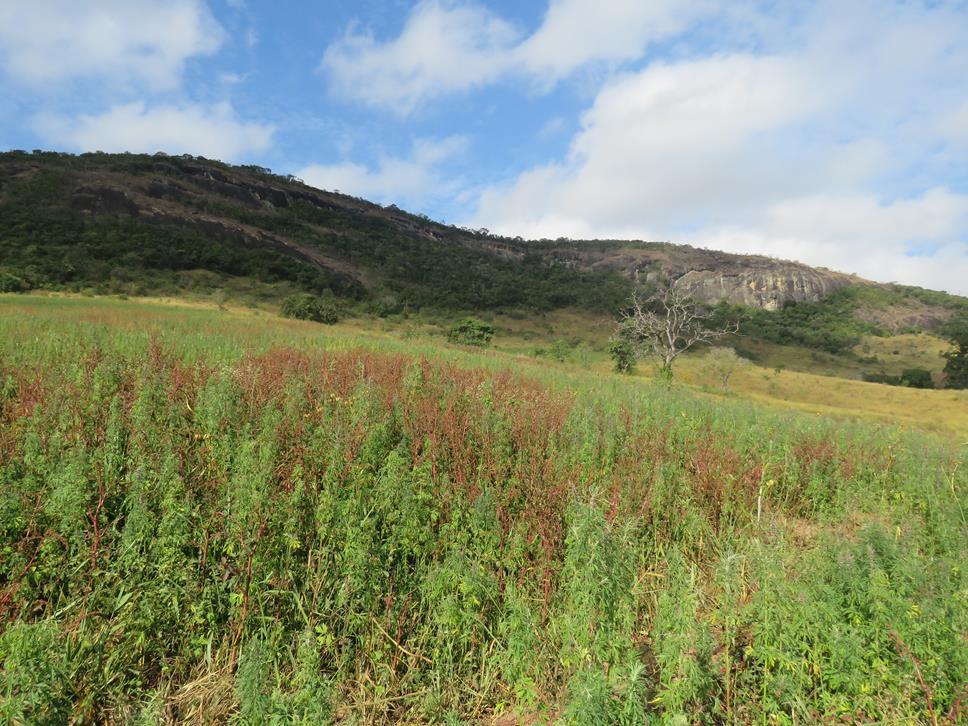 Fazenda, Zona Rural, 3 Quartos, 1 Vaga, 1 Suíte