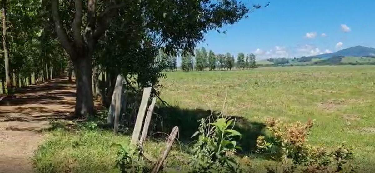 Fazenda, Centro, 0 Quarto, 0 Vaga