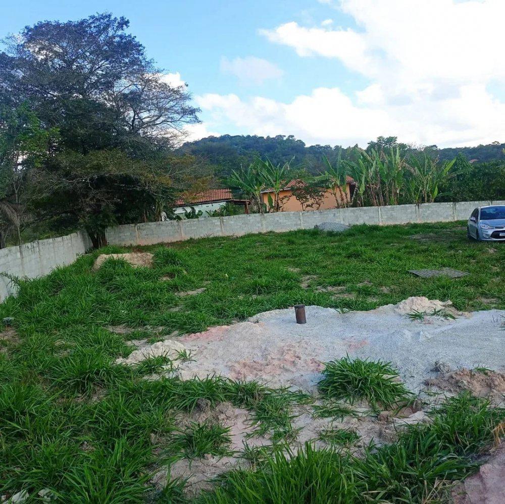 Fazenda, Aranha, 0 Quarto, 0 Vaga