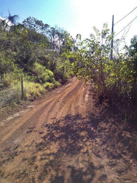 Lote, Vila Esperança, 0 Quarto, 0 Vaga