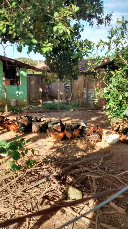 Fazenda, Centro, 4 Quartos, 0 Vaga, 1 Suíte
