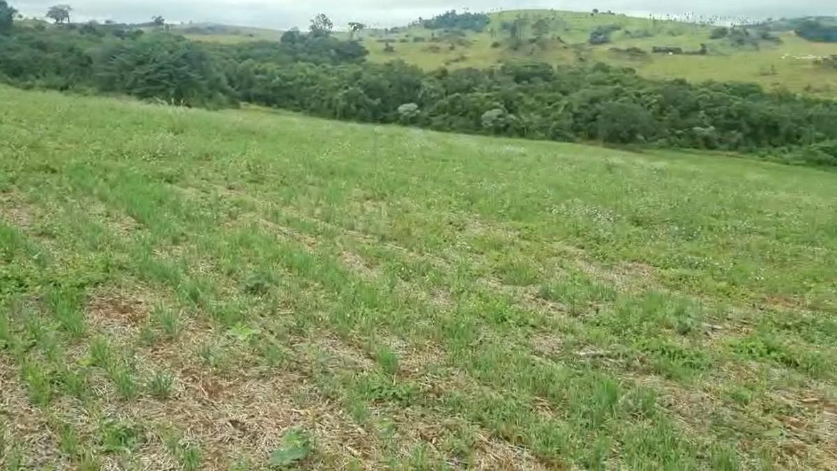 Fazenda, Zona Rural, 3 Quartos, 1 Vaga, 1 Suíte