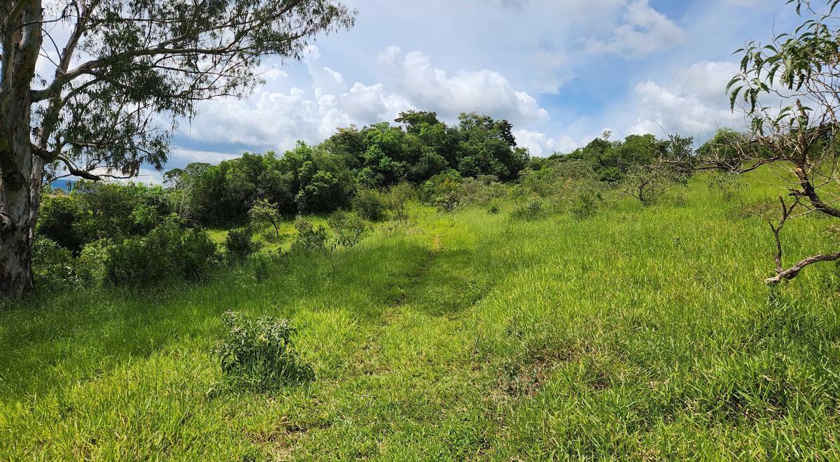 Fazenda, Zona Rural, 1 Quarto, 0 Vaga
