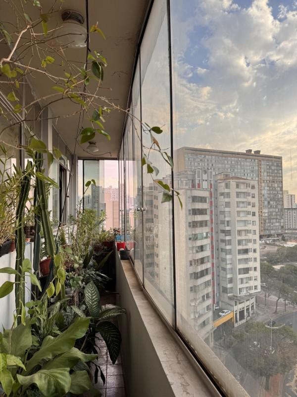 Apartamento, Centro, 2 Quartos, 0 Vaga
