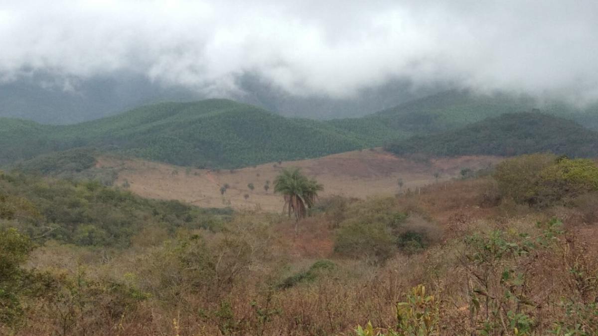 Lote, Zona Rural, 0 Quarto, 0 Vaga