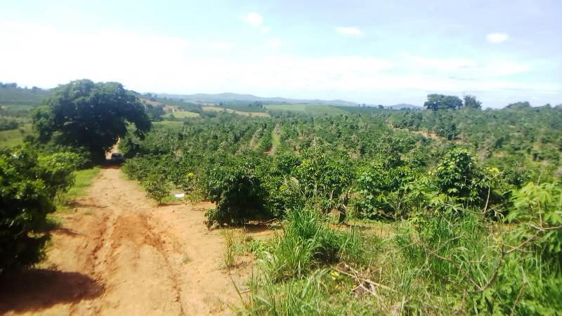 Fazenda, Zona Rural, 0 Quarto, 0 Vaga