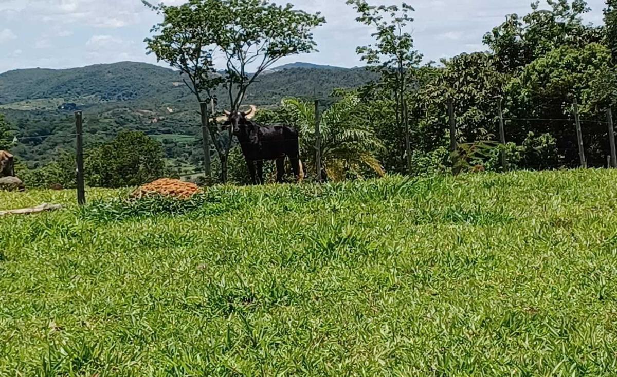 Fazenda, Urucuia, 3 Quartos, 0 Vaga, 1 Suíte