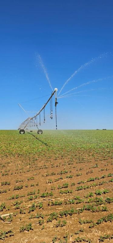 Fazenda, Centro, 0 Quarto, 0 Vaga