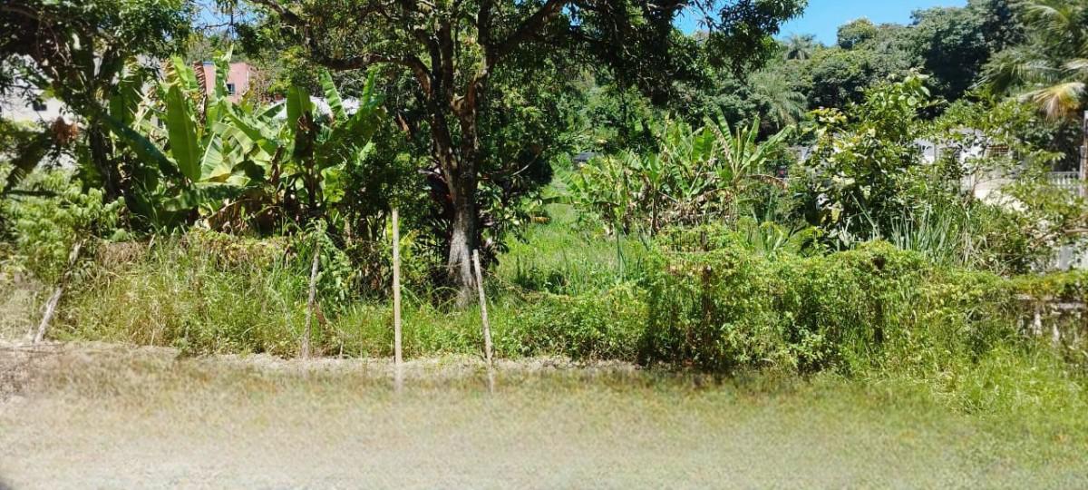 Lote, Solar do Madeira, 0 Quarto, 0 Vaga