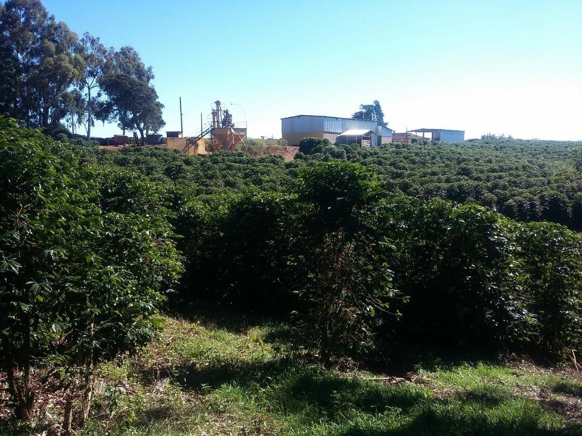 Fazenda, Centro, 3 Quartos, 1 Vaga, 1 Suíte