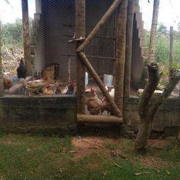 Fazenda, Canto da Siriema, 4 Quartos, 10 Vagas