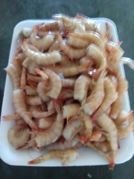 Camarao Marinho