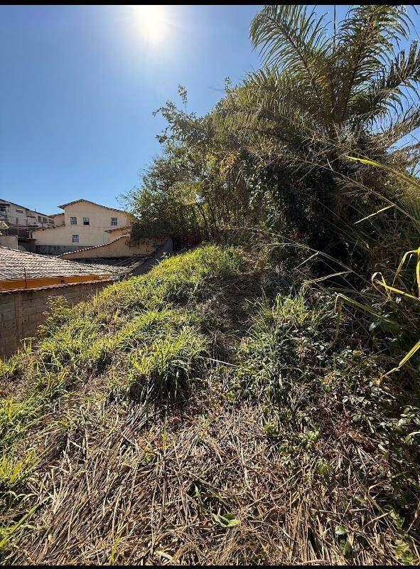 Lote, Centro, 0 Quarto, 0 Vaga