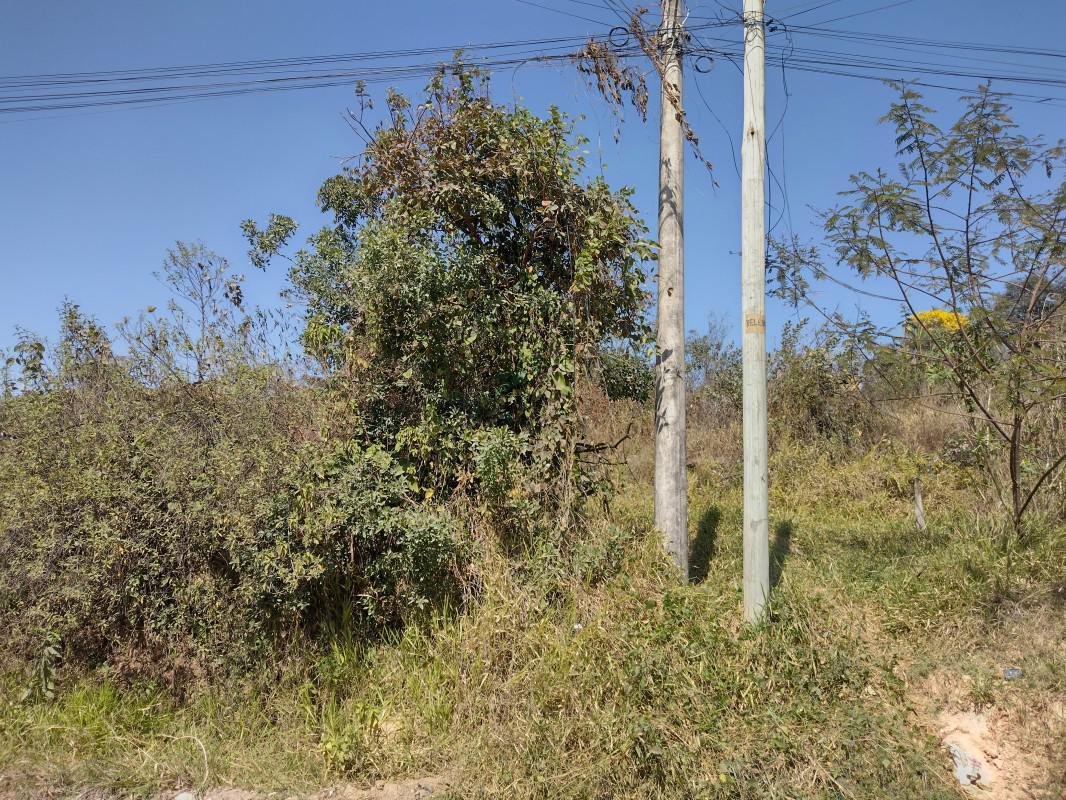 Lote, Chácara São Geraldo, 0 Quarto, 0 Vaga