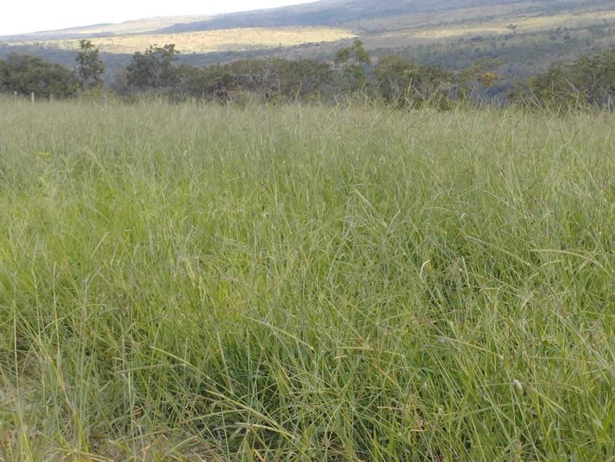 Fazenda, Zona Rural, 3 Quartos, 0 Vaga