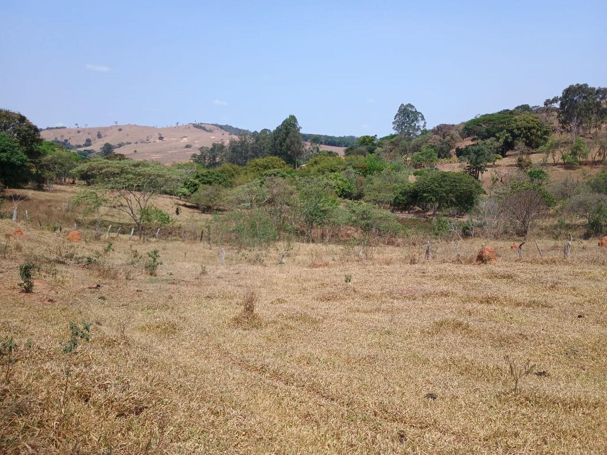 Fazenda, Centro, 3 Quartos, 10 Vagas, 1 Suíte