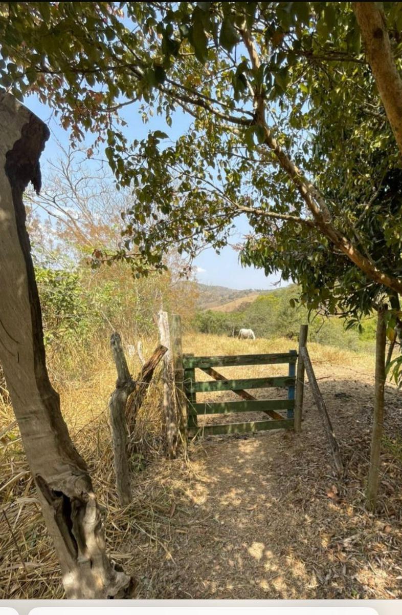 Fazenda, Centro, 4 Quartos, 10 Vagas