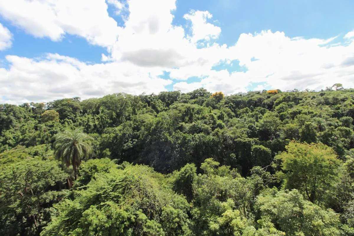 Apartamento, Castelo, 3 Quartos, 2 Vagas, 1 Suíte