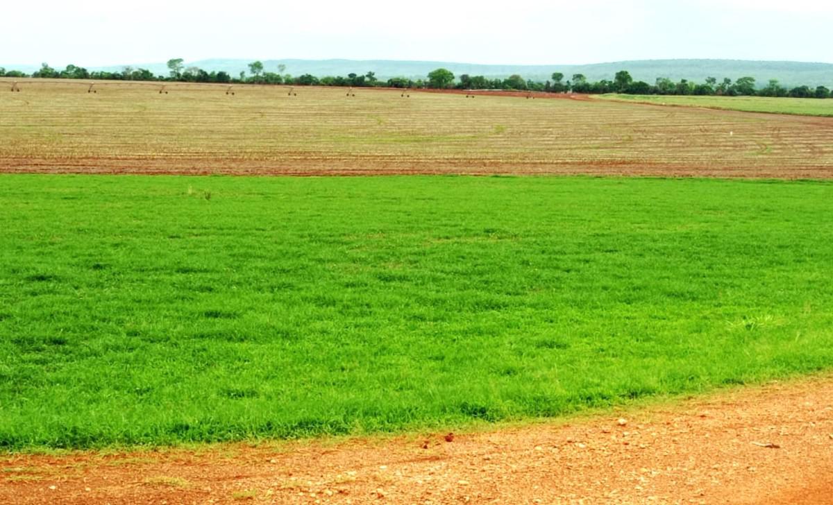 Fazenda, Zona Rural, 0 Quarto, 0 Vaga