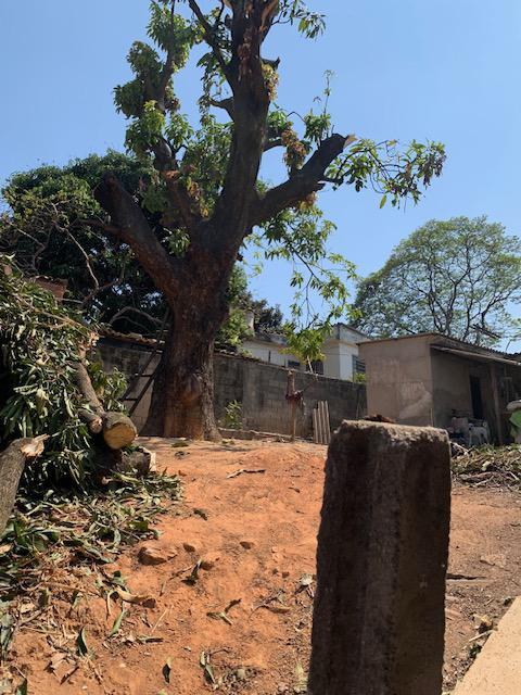 Lote, São Salvador, 0 Quarto, 0 Vaga