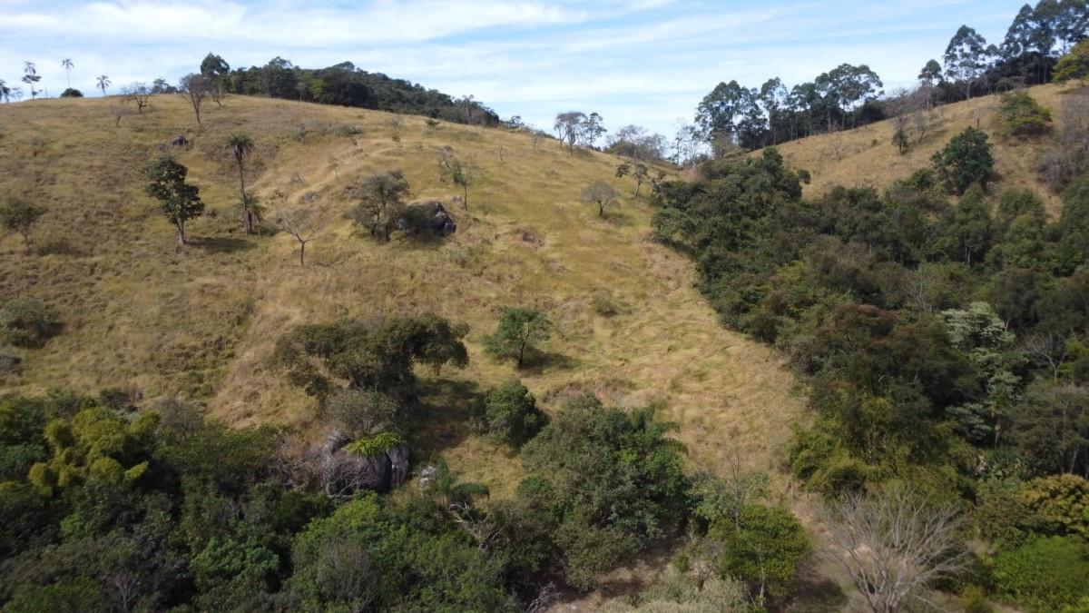 Fazenda, Centro, 7 Quartos, 0 Vaga, 2 Suítes