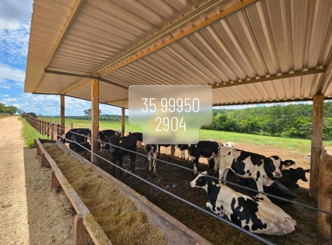 Fazenda, Zona Rural, 0 Quarto, 0 Vaga