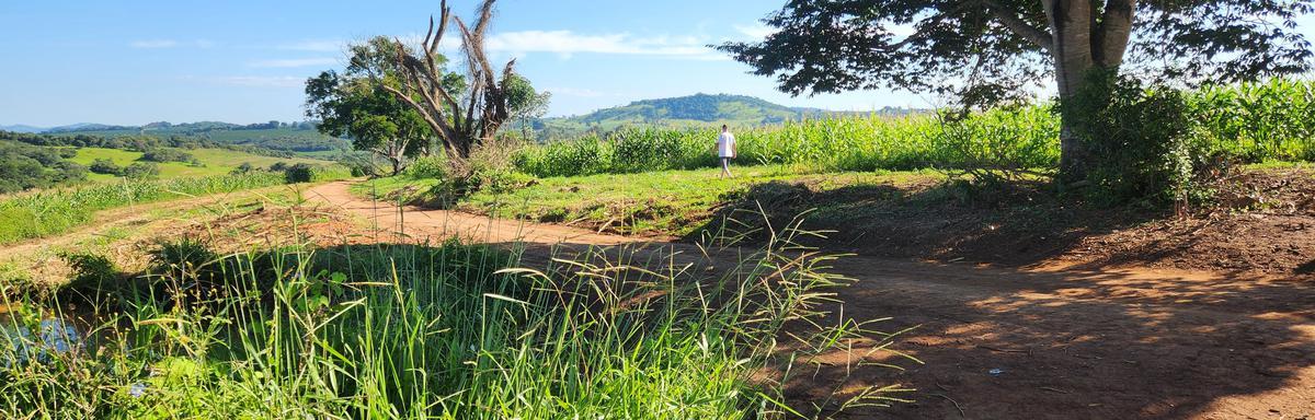 Fazenda, Zona Rural, 0 Quarto, 0 Vaga