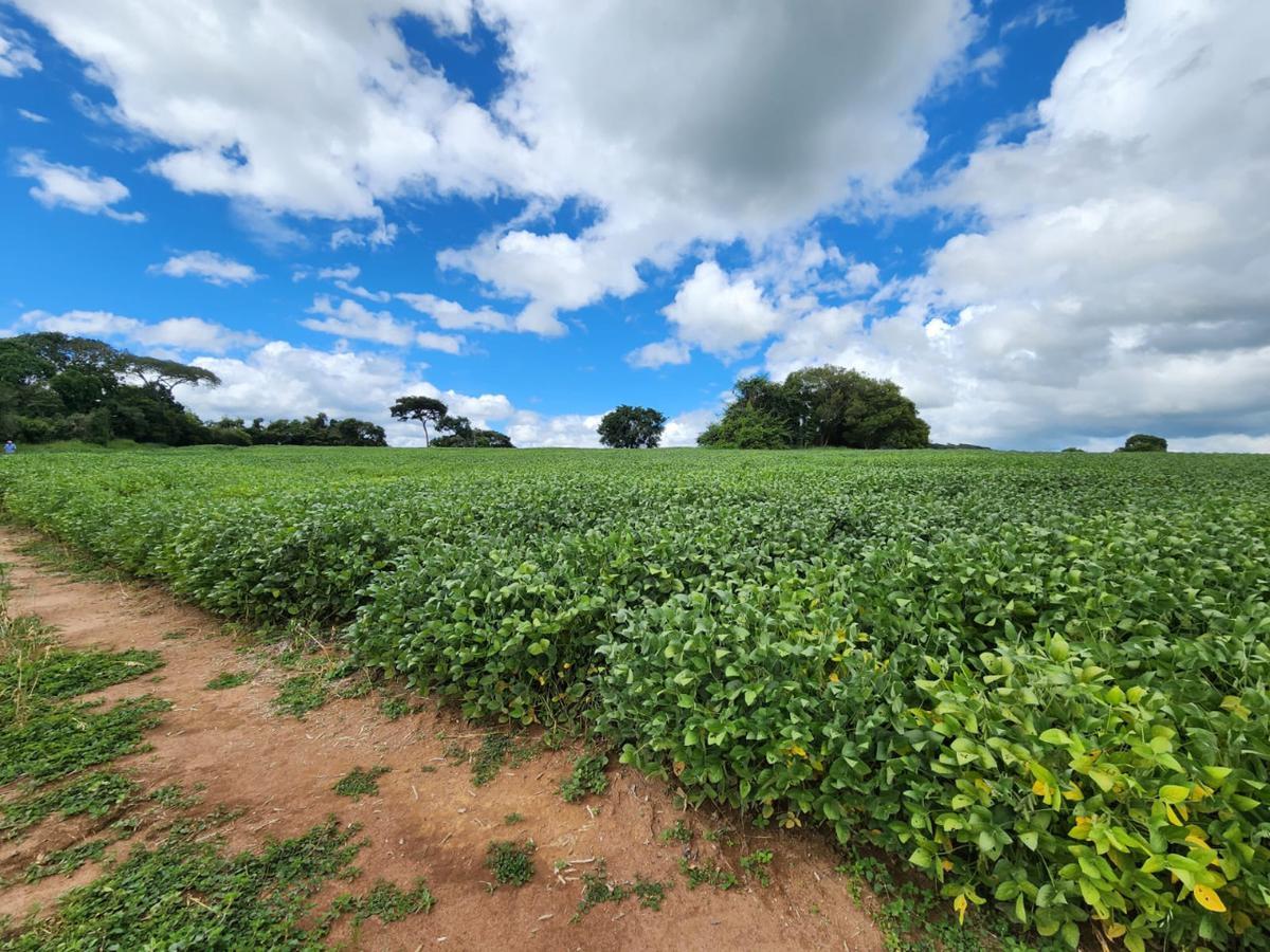 Fazenda, Centro, 1 Quarto, 1 Vaga, 1 Suíte
