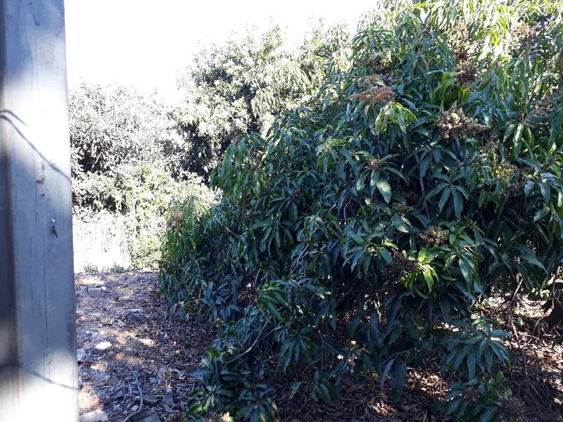 Lote, Centro, 0 Quarto, 0 Vaga