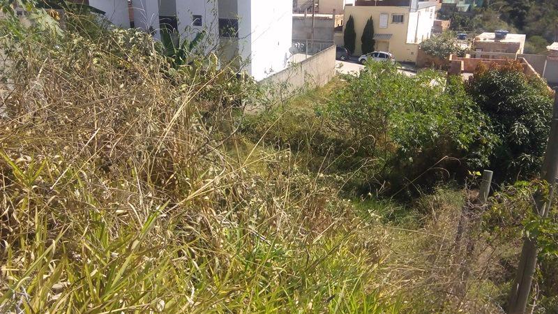 Lote, Imperial, 0 Quarto, 0 Vaga