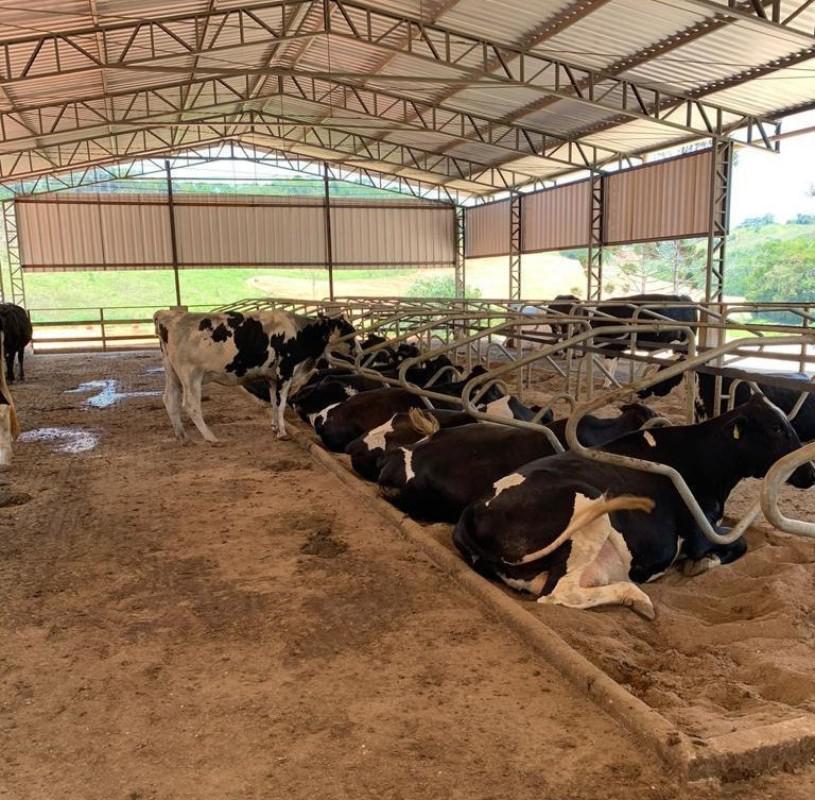 Fazenda, Area Rural de Juiz de Fora, 0 Quarto, 0 Vaga
