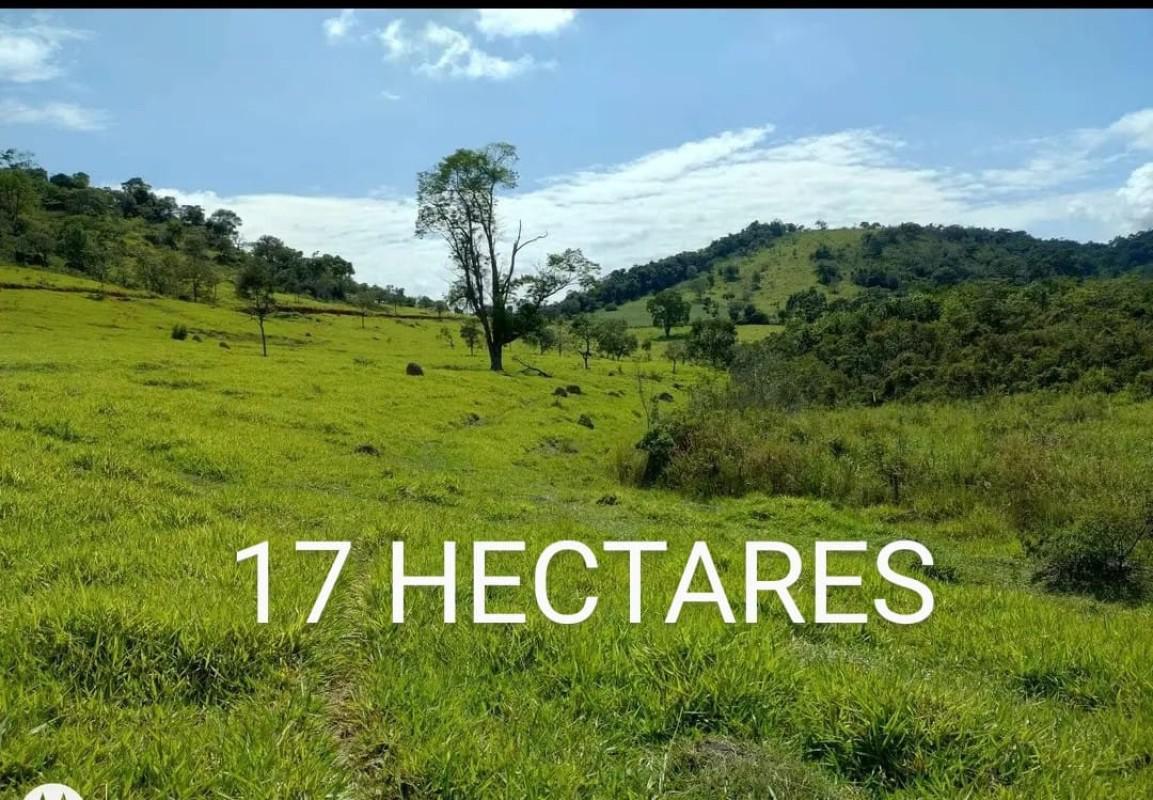 Lote, Centro, 0 Quarto, 0 Vaga