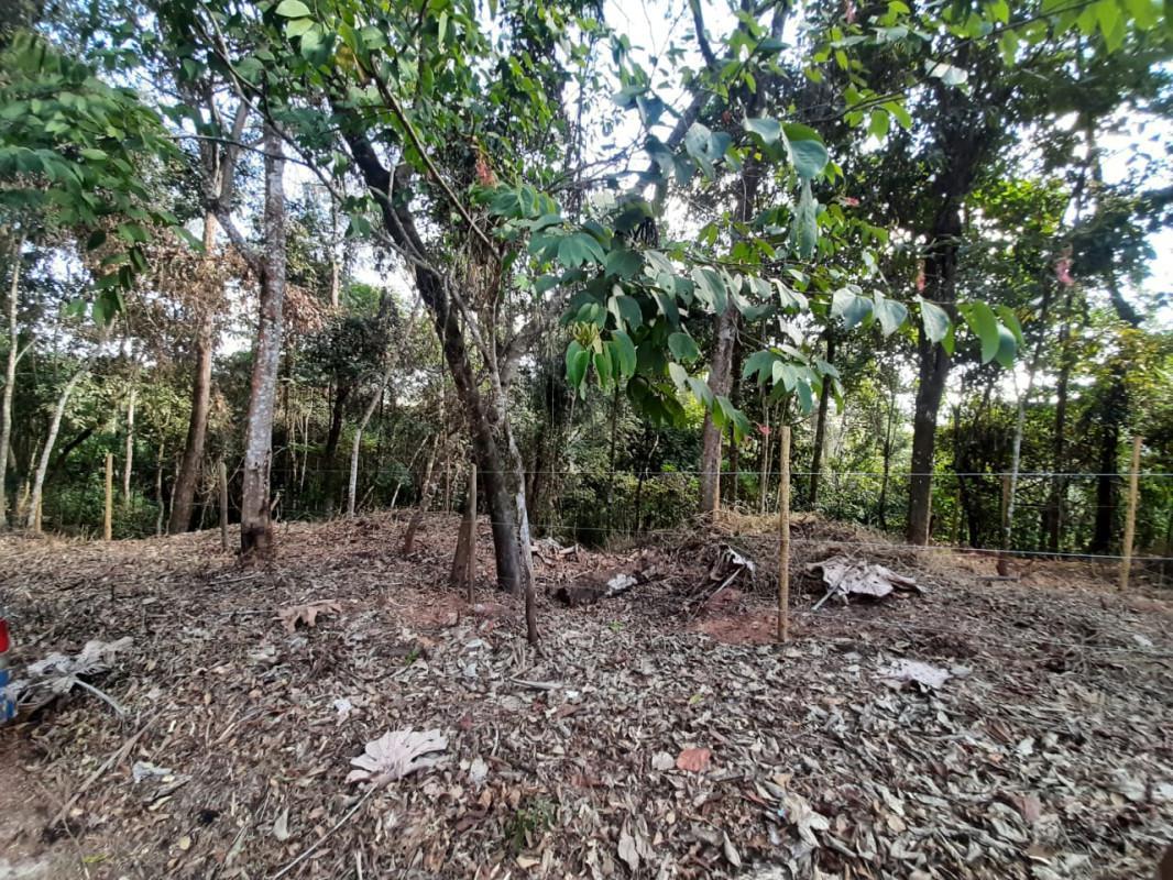 Lote, Green Park, 0 Quarto, 0 Vaga