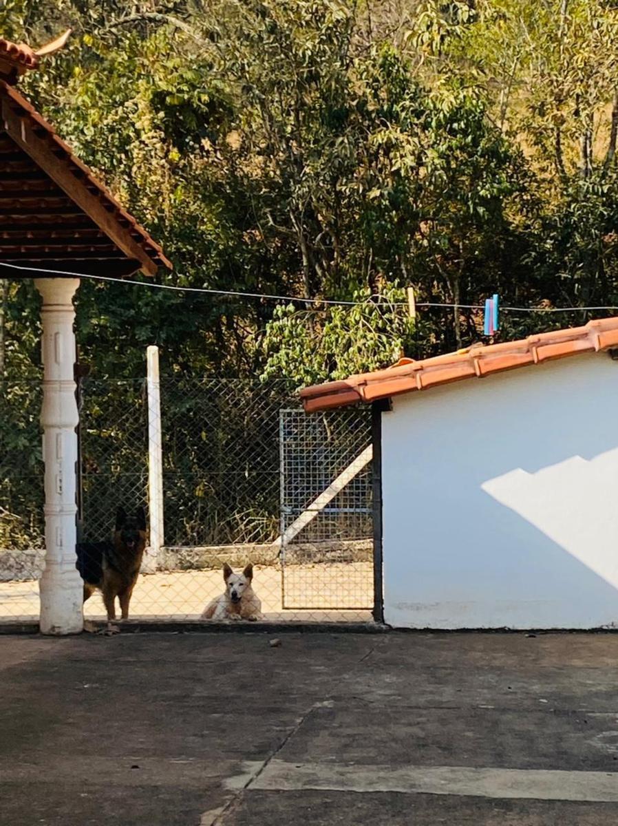 Rural, Centro, 6 Quartos, 10 Vagas, 2 Suítes