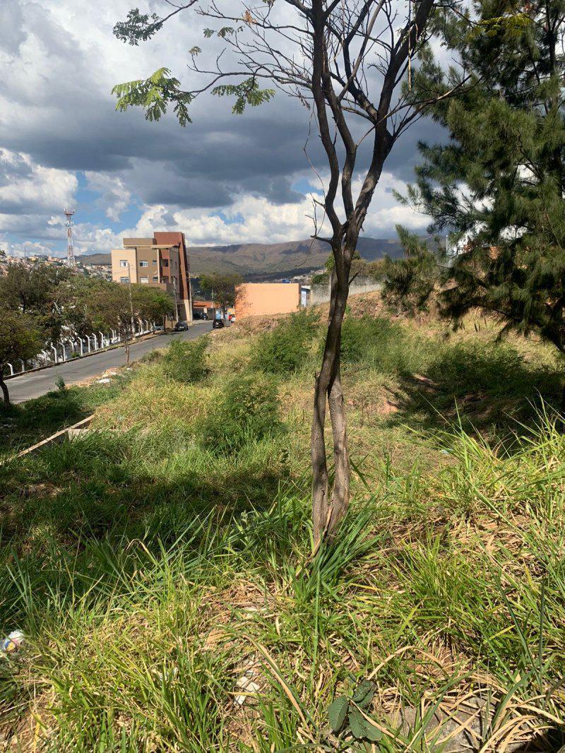 Lote, Centro, 0 Quarto, 0 Vaga