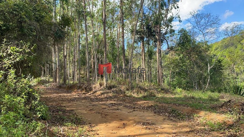 Fazenda, Centro, 4 Quartos, 10 Vagas, 1 Suíte