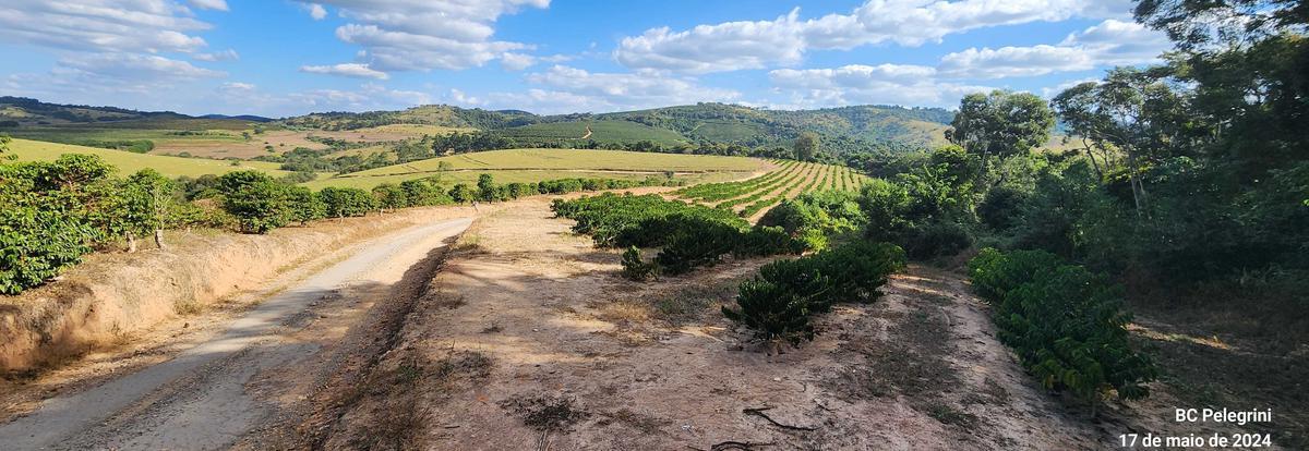 Fazenda, Zona Rural, 9 Quartos, 0 Vaga, 5 Suítes