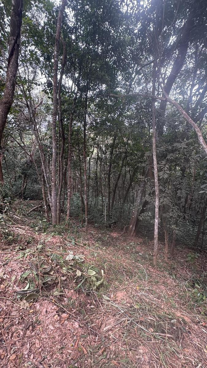 Lote, Acurui, 0 Quarto, 0 Vaga