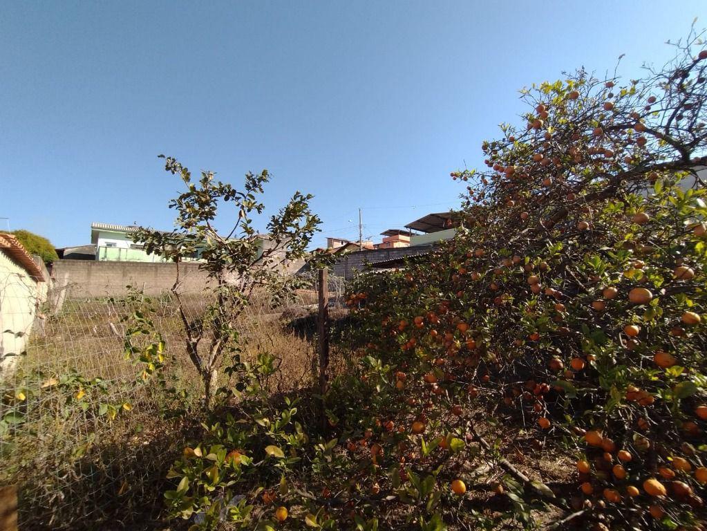 Lote, Pedra Branca, 0 Quarto, 0 Vaga