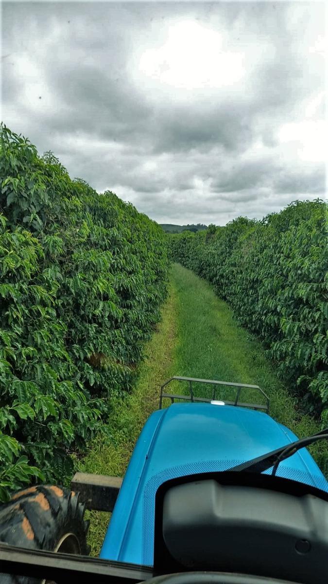 Fazenda, Zona Rural, 0 Quarto, 0 Vaga