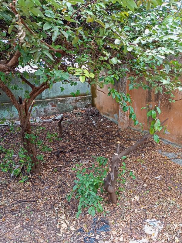 Casa, Santa Inês, 2 Quartos, 2 Vagas