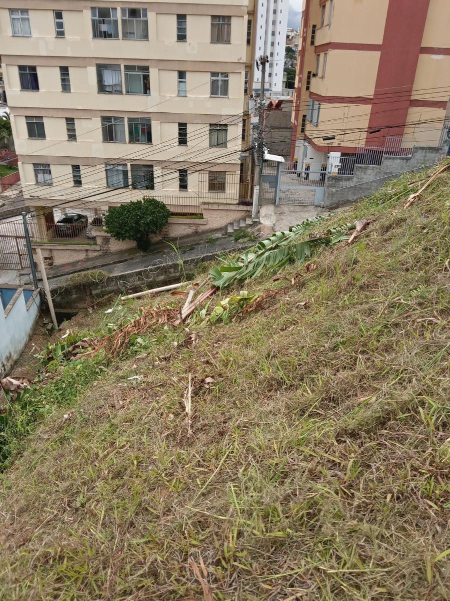 Lote, Nova Floresta, 1 Quarto, 0 Vaga