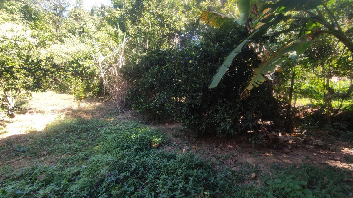 Lote, Centro, 0 Quarto, 0 Vaga