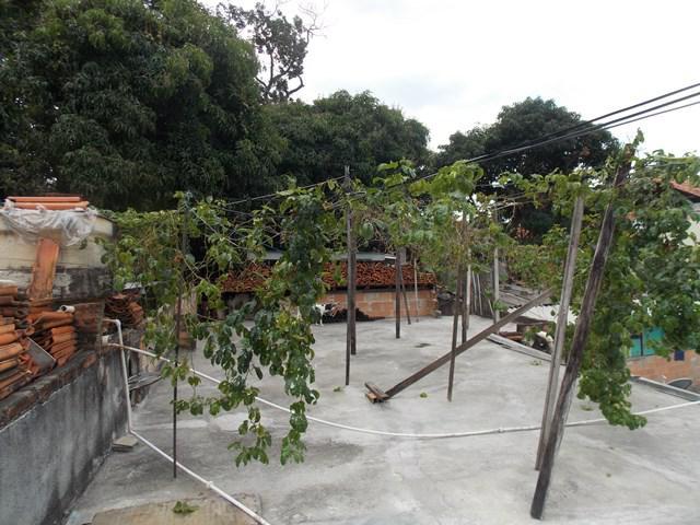 Lote, Palmeiras, 0 Quarto, 0 Vaga