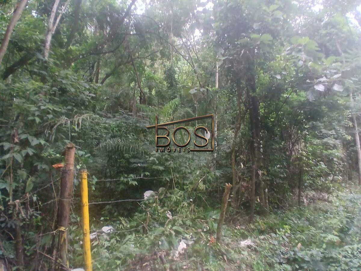 Lote, Jardim de Petrópolis, 0 Quarto, 0 Vaga