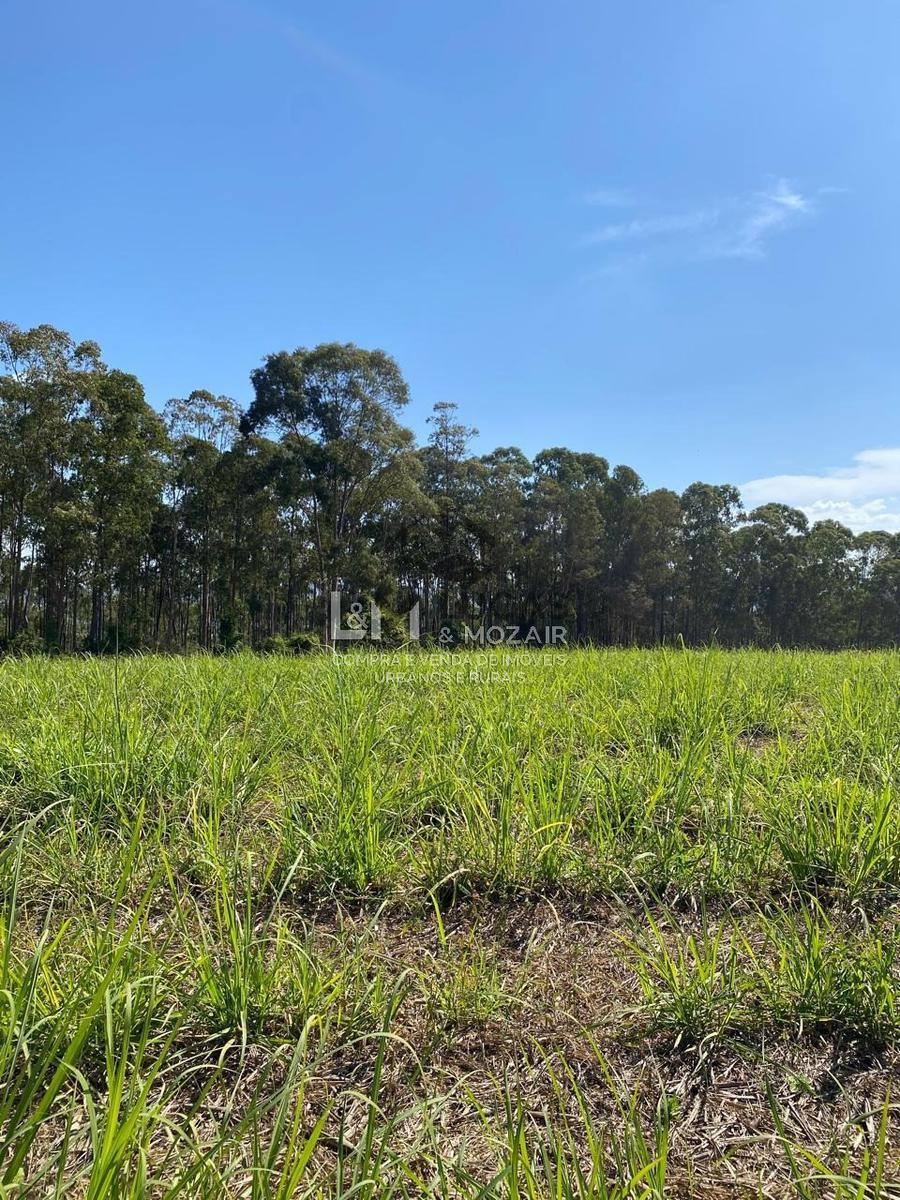 Fazenda, Zona Rural, 7 Quartos, 0 Vaga, 1 Suíte