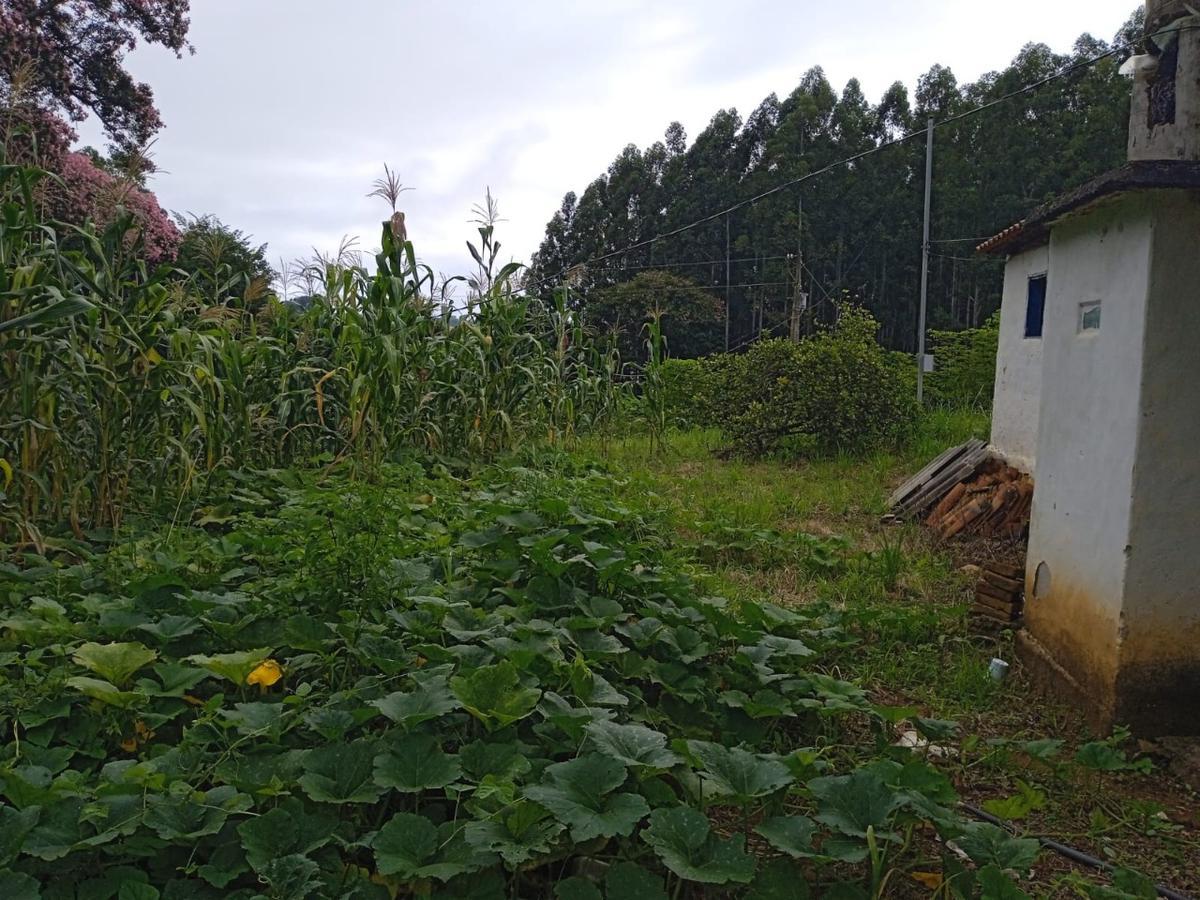Fazenda, Zona Rural, 0 Quarto, 0 Vaga