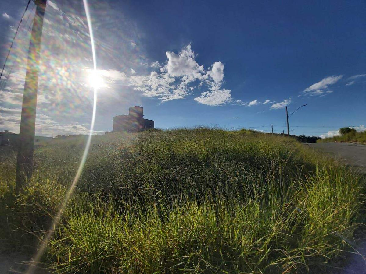 Lote, Novo Centro, 0 Quarto, 0 Vaga