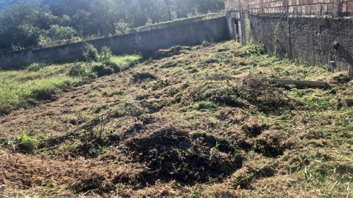 Lote, Ponte Alta, 0 Quarto, 0 Vaga