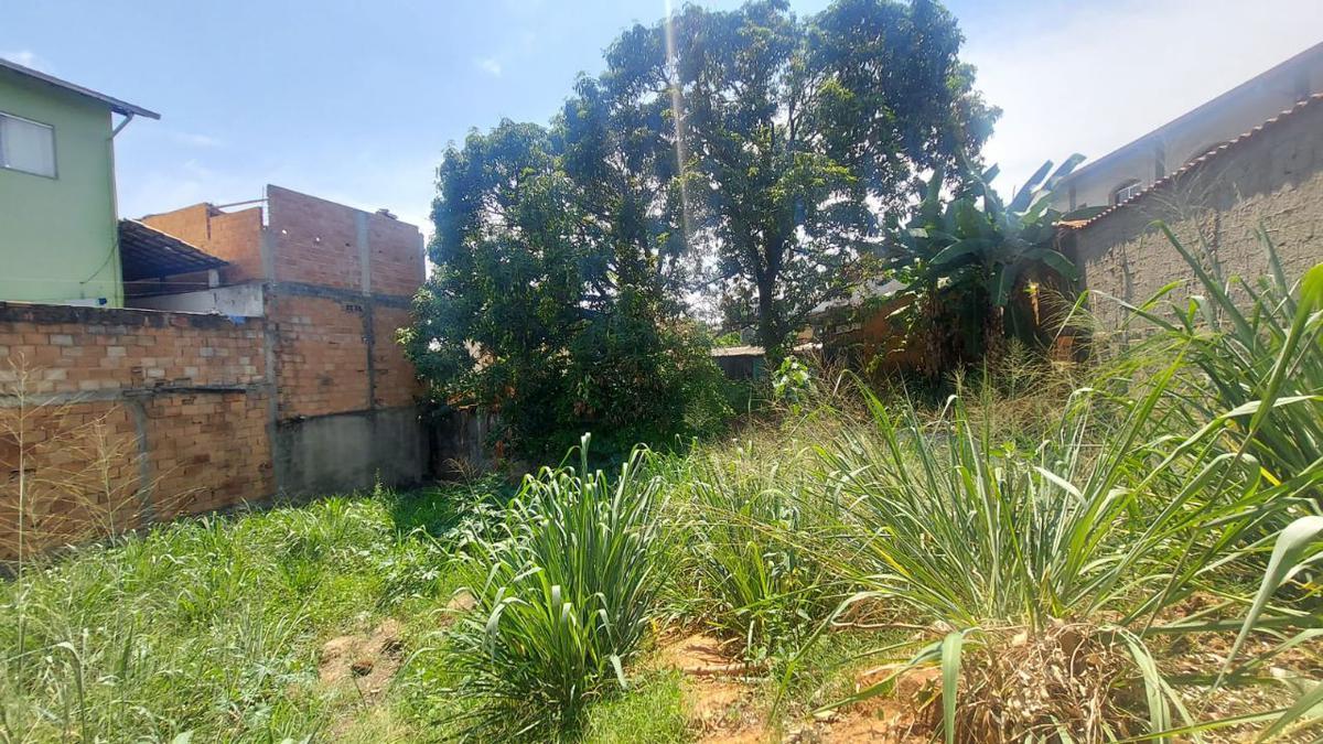 Lote, Santa Cruz, 0 Quarto, 0 Vaga